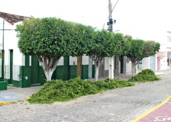 Governo Municipal de Iguaracy promove poda de árvores e melhora a estética urbana, iluminação pública e segurança