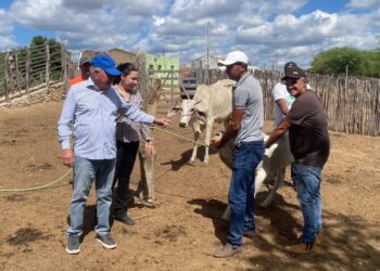 Prefeitura de Iguaracy dá continuidade ao programa municipal de vacinação contra Brucelose