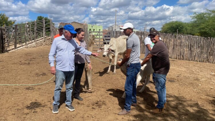 Prefeitura de Iguaracy dá continuidade ao programa municipal de vacinação contra Brucelose
