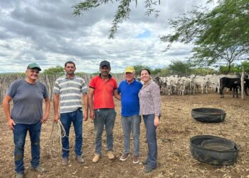 Governo Municipal de Iguaracy reforça programa de vacinação contra brucelose, protegendo o rebanho