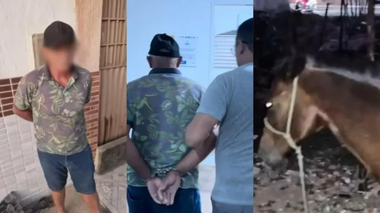 Idoso de 64 anos é preso em flagrante por suspeita de praticar ato sexual com égua em Patos-PB