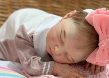 Família de bebê agredida ao ser confundida com bebê reborn vai à Justiça