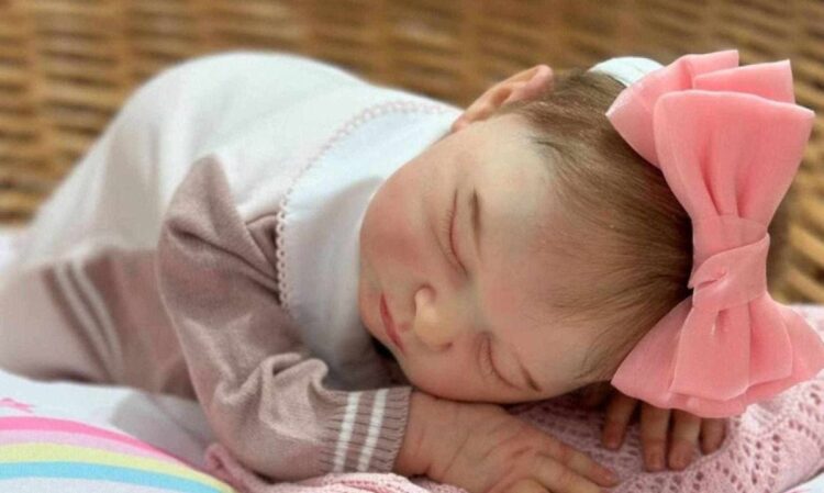 Família de bebê agredida ao ser confundida com bebê reborn vai à Justiça