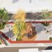 Prefeitura de Tabira dá início à construção de nova praça no Bairro das Missões