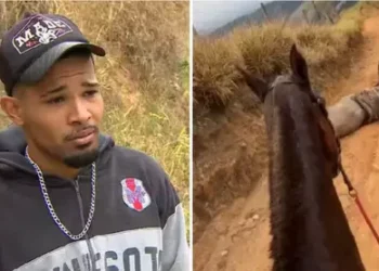 Cavalo mutilado estava vivo quando teve patas cortadas, aponta perícia