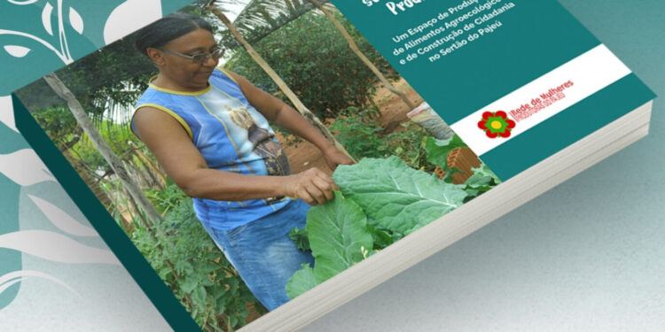 Cartilha da Rede de Mulheres compartilha experiências exitosas com quintais produtivos urbanos e rurais no Sertão do Pajeú