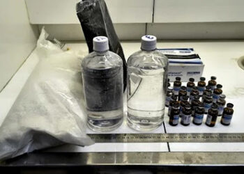 Pela primeira vez, Fentanil é apreendido em Pernambuco; droga é muito mais potente que morfina e heroína