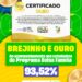 Brejinho conquista Selo Ouro no acompanhamento de estudantes do Bolsa Família com 93,25% de excelência