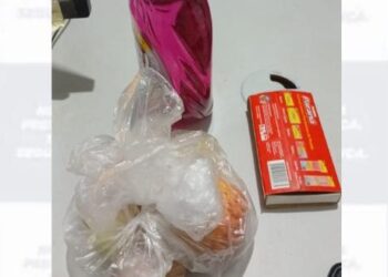 Suspeita reincidente é flagrada após furto em residência de Carnaíba