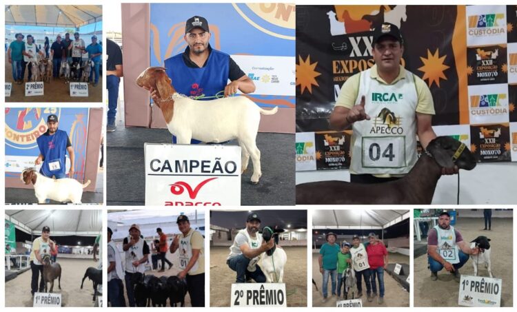Criadores de Iguaracy são destaques em exposições agropecuárias regionais — Prefeitura e Secretaria de Agricultura parabenizam produtores premiados