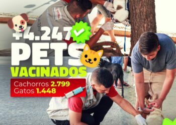 Mais de 4 mil pets já estão protegidos em Tabira na Campanha Antirrábica