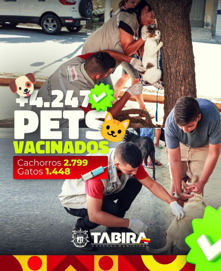 Mais de 4 mil pets já estão protegidos em Tabira na Campanha Antirrábica