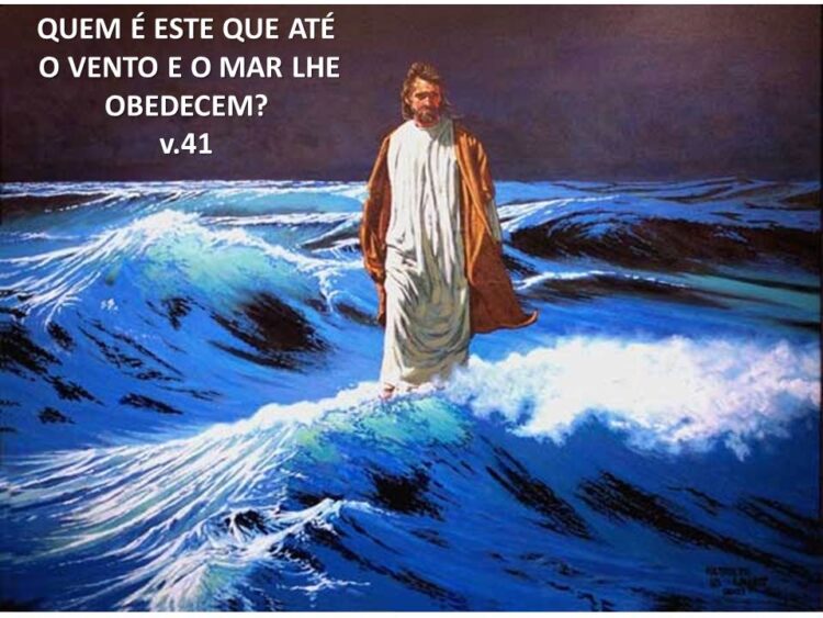 Palavra do Dia: Quem é este que o mar lhe obedece?