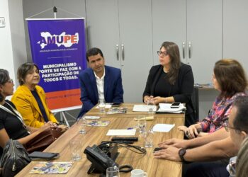 Amupe discute segurança na iluminação pública com MPT, Neoenergia e Crea-PE