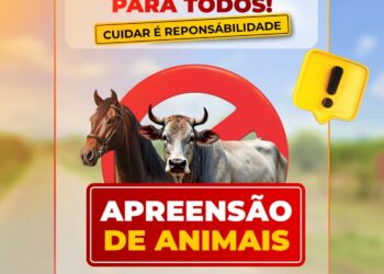 Prefeito de Tabira sanciona lei que regulamenta apreensão e destinação de animais soltos nas vias públicas