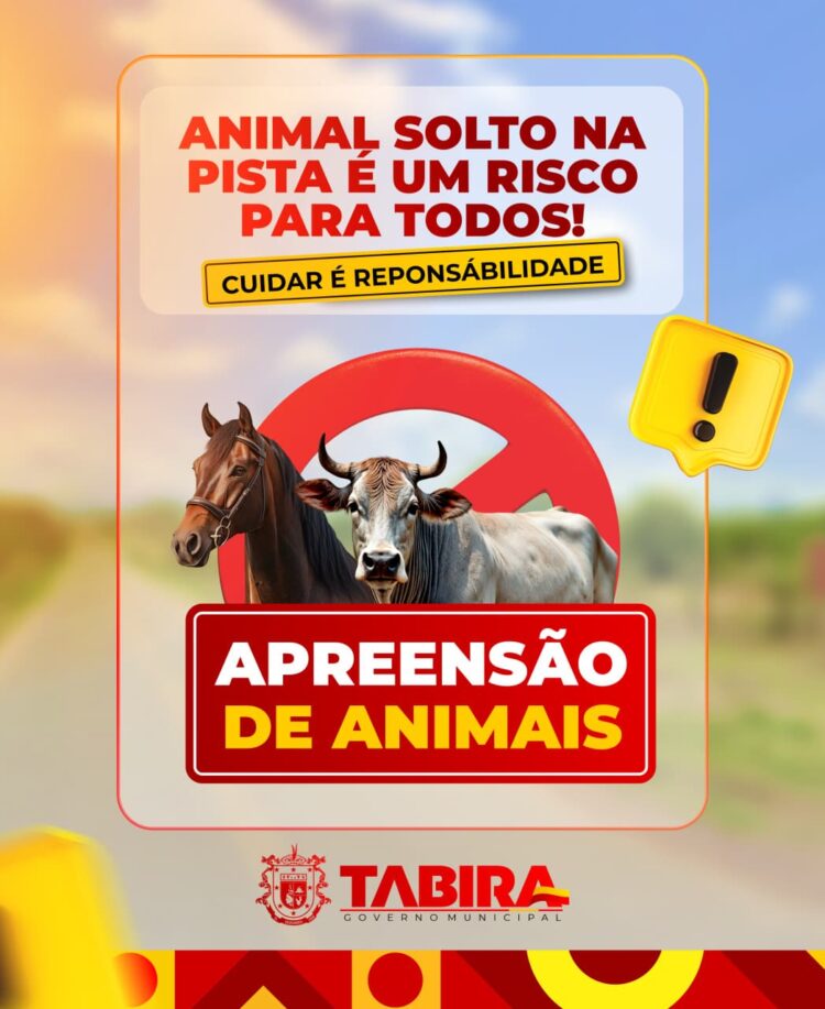 Prefeito de Tabira sanciona lei que regulamenta apreensão e destinação de animais soltos nas vias públicas