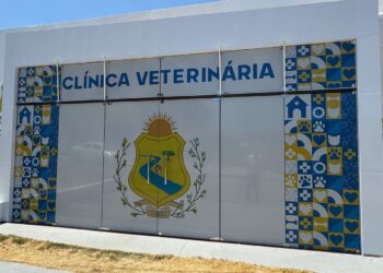 Prefeitura de Afogados vai inaugurar novas instalações e ampliação de serviços da clínica veterinária