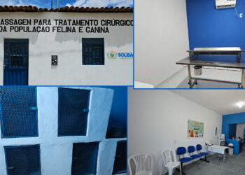 Casa de Passagem Animal é reinaugurada em novo endereço em Solidão