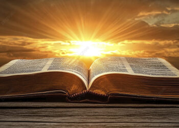 Palavra do Dia: Confiança