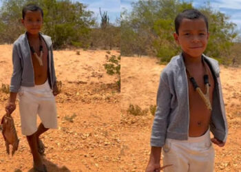 Menino comove ao libertar tatu-peba após gesto solidário de desconhecido