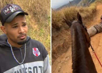 Homem que mutilou cavalo vivo é preso em operação contra tráfico de drogas