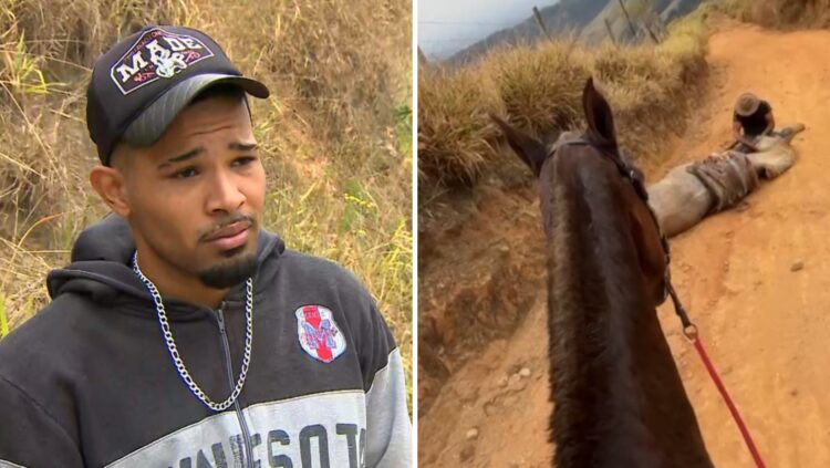 Homem que mutilou cavalo vivo é preso em operação contra tráfico de drogas