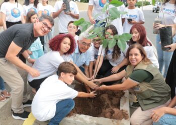 População pode ajudar a construir plano de arborização para Afogados