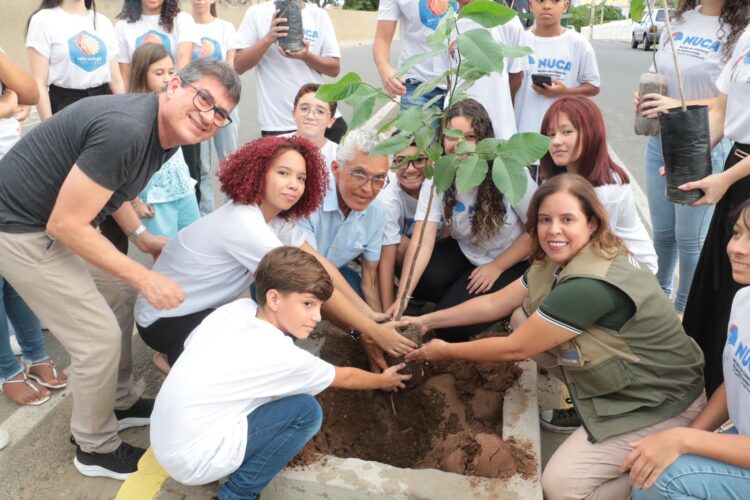 População pode ajudar a construir plano de arborização para Afogados