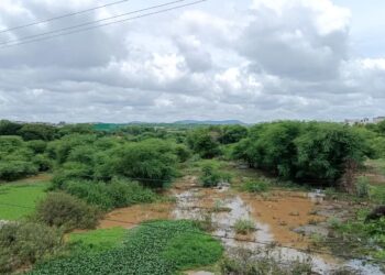 Falar sobre o Rio Pajeú é falar sobre nossa identidade