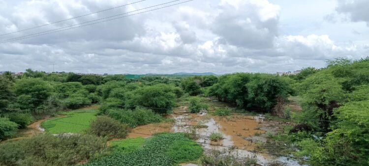 Falar sobre o Rio Pajeú é falar sobre nossa identidade