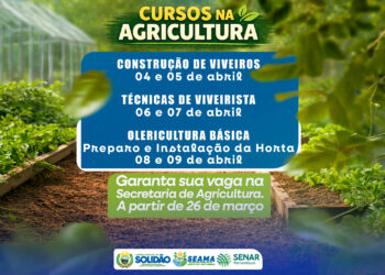 Cursos fortalecem a agricultura em Solidão