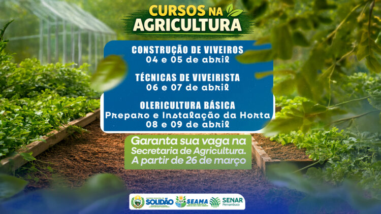 Cursos fortalecem a agricultura em Solidão