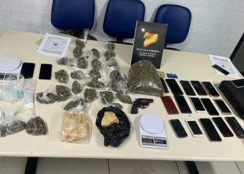 Operação Cinzas do crime cumpre mandados, prende suspeitos e apreende drogas e arma em Arcoverde