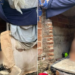 Homem é preso por manter namorada de 16 anos vivendo em casinha de cachorro