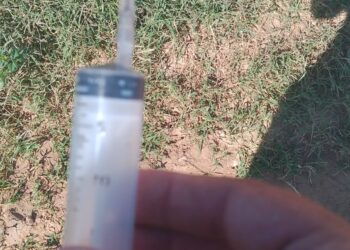 Perigo no lixo: descarte irregular de seringa em Afogados da Ingazeira