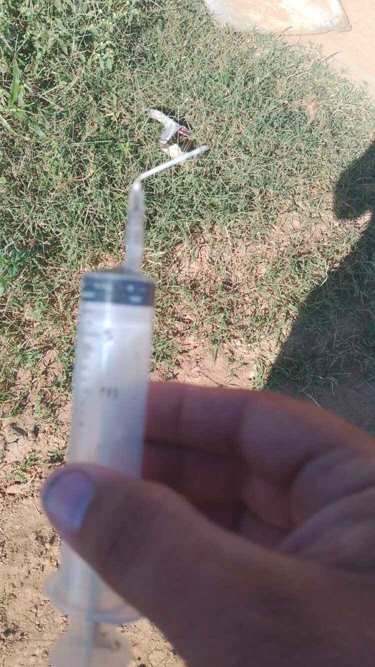 Perigo no lixo: descarte irregular de seringa em Afogados da Ingazeira