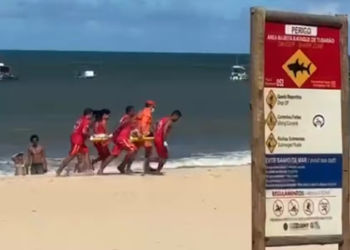 PE: Criança de 11 anos foi mordida no quadril e na mão por tubarão na Praia de Piedade