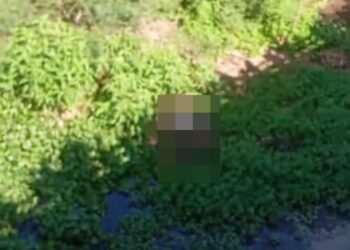 Homem pula de ponte em Afogados da Ingazeira