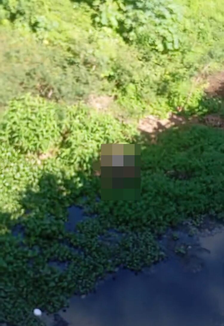 Homem pula de ponte em Afogados da Ingazeira