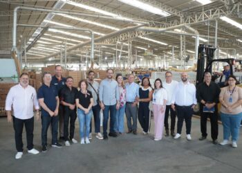 Câmara setorial da movelaria fez visitas técnicas em Afogados