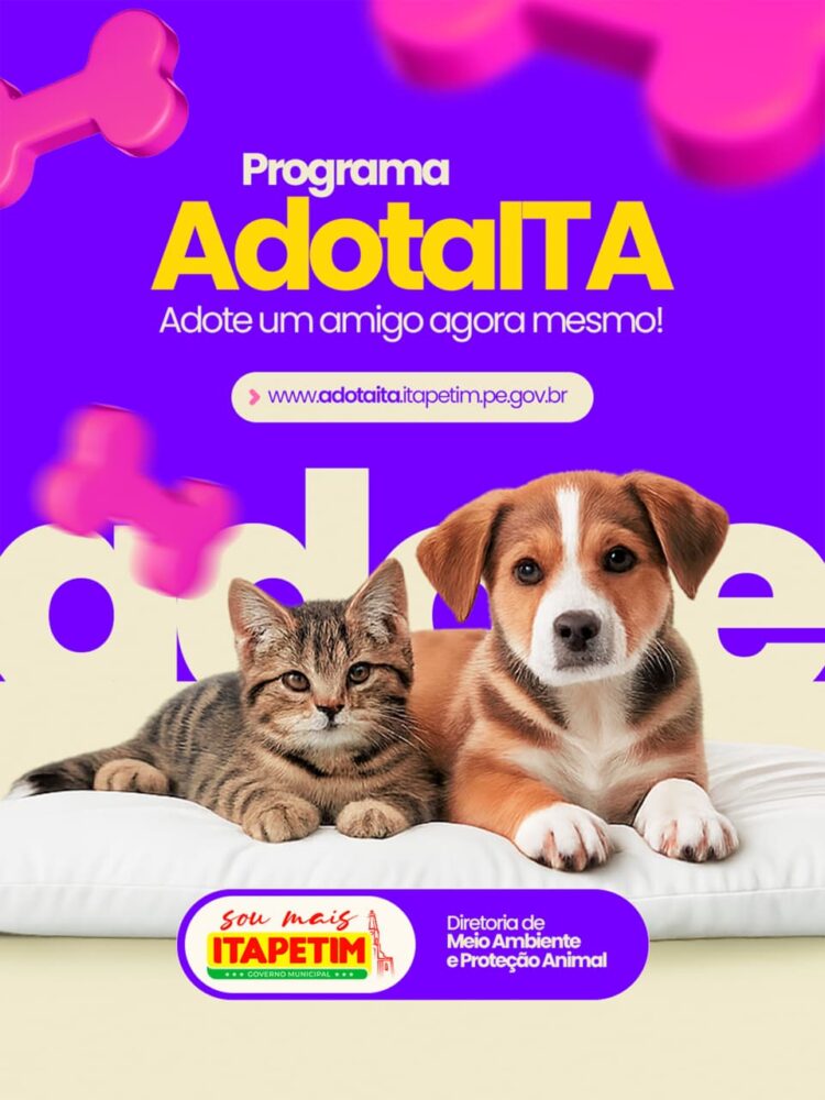 Itapetim lança plataforma digital para adoção de animais carentes