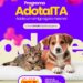 Itapetim lança plataforma digital para adoção de animais carentes