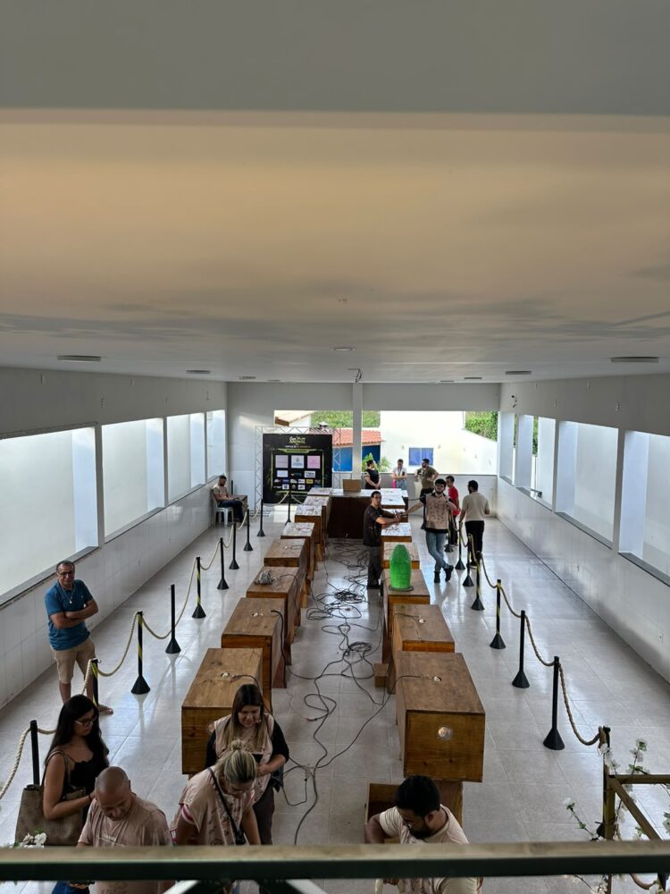 I Exposição de Serpentes acontece neste fim de semana em Afogados da Ingazeira