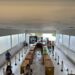 I Exposição de Serpentes acontece neste fim de semana em Afogados da Ingazeira