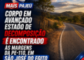 Corpo em avançado estado de decomposição é encontrado às margens da PE-110, em São José do Egito