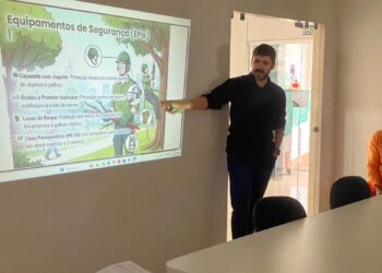 Prefeitura de Afogados promoveu capacitação para podadores