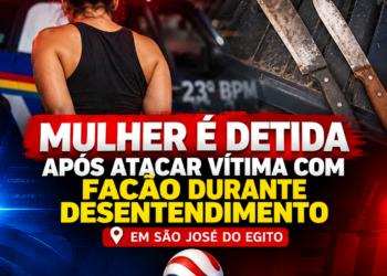 Mulher é detida após atacar vítima com facão durante desentendimento em São José do Egito