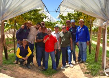 Em Petrolina, Humberto reforça defesa da fruticultura irrigada do Sertão do São Francisco