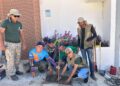 Afogados + verde: Prefeitura planta árvores no Manoela Valadares