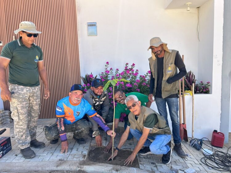 Afogados + verde: Prefeitura planta árvores no Manoela Valadares